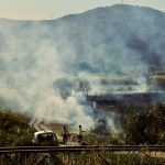 Brände im Hula-Naturreservat im Norden Israels